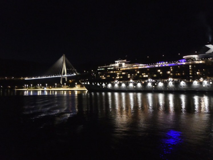 The tower and road illuminated of the bridge and a glowing cruise ship reflecting in the water of the port, all in almost complete blackness by now.