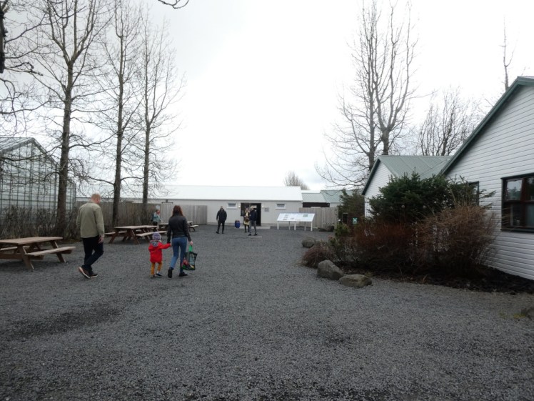 The entrance to the Secret Lagoon. A gravel yard with a greenhouse on the left, a white wooden building to the right and a low white building in front. This is the service building for the Secret Lagoon. There are trees on each side but as it's only mid-April, they're still bare. The sky is white but no longer heavy-looking.