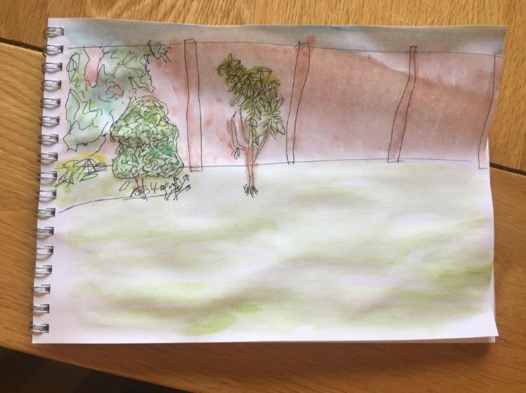 First attempt at a watercolour of the garden