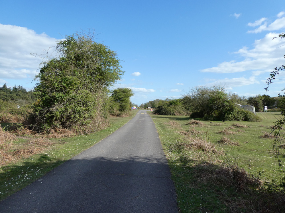 A campsite road with a thick tall hedge on one side, a smaller hedge on the other and caravans visible.