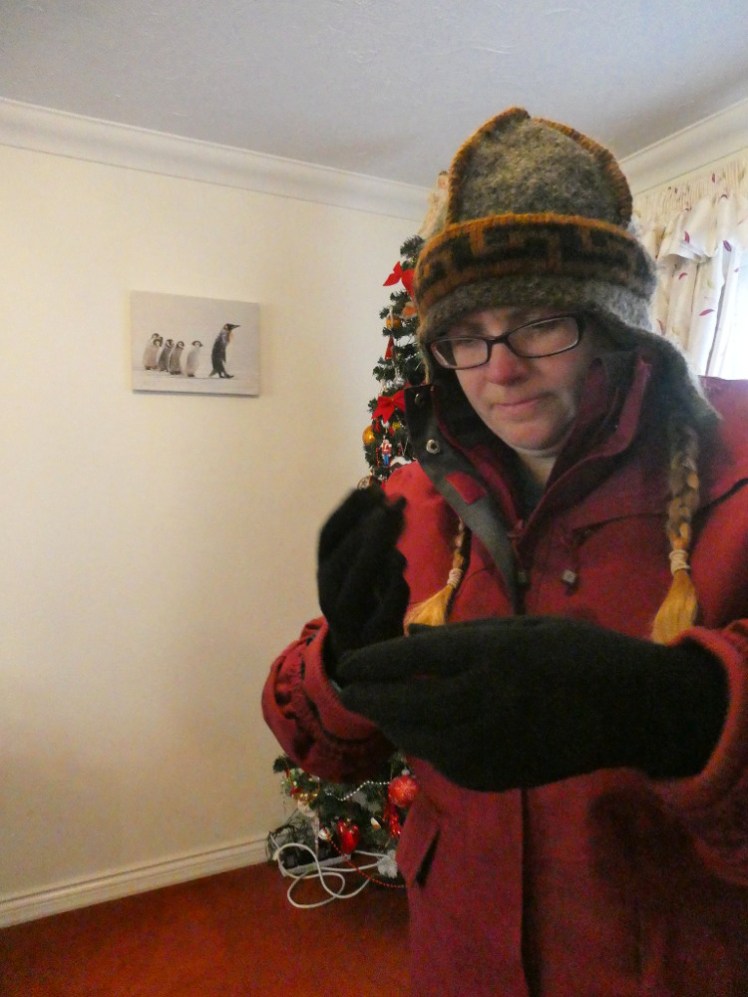 My in my ski jacket, adjusting my gloves. The bit you should be paying attention to is a grey and brown woollen hat in the shape of a Viking helmet. It has no horns but it does have grey ear flaps.