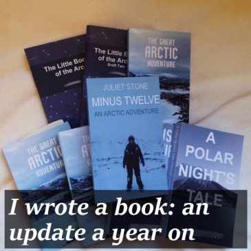 I wrote a book: an update a year on | iamapolarbear.com