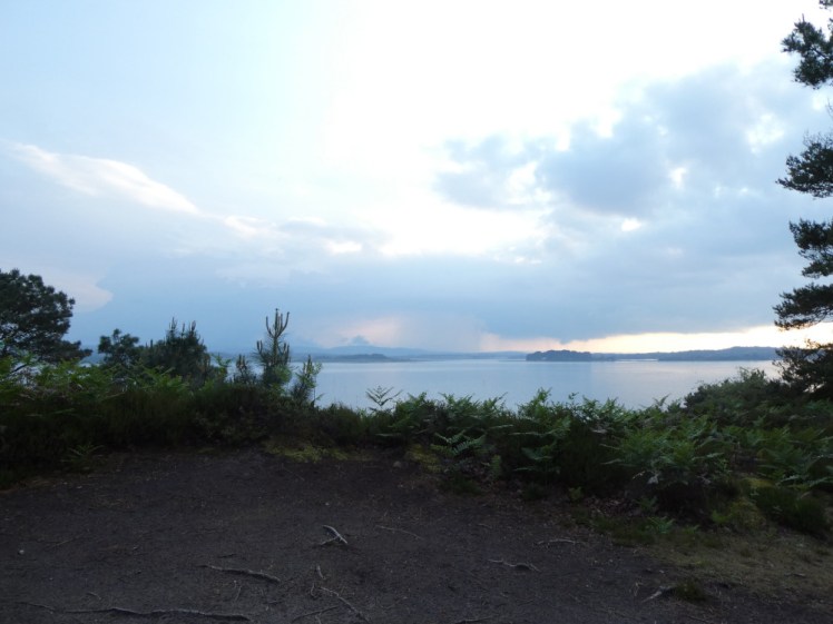 A thick cloud over the land on the horizon, a thick band of rain falling from it visible even from here. In the foreground are ferns and a rough path strewn with the remains of rhododendron roots.