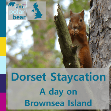 Dorset Staycation: a day on Brownsea Island | iamapolarbear.com