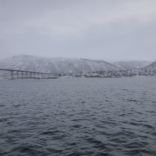 33378461505_a591dac4c6_k