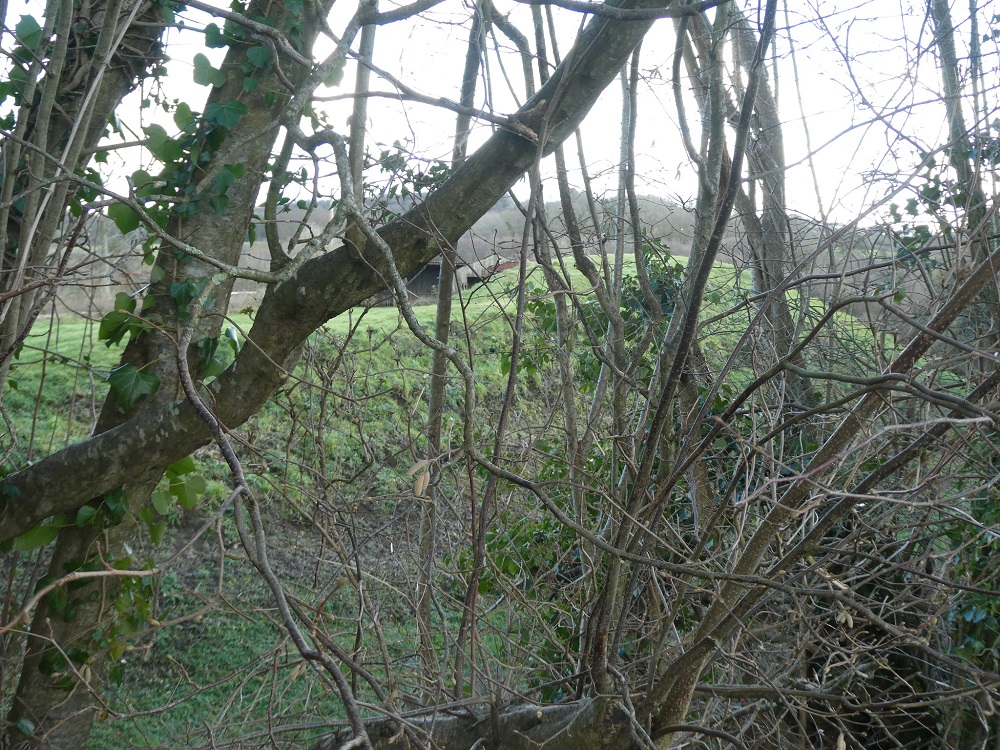 A hillfort in a garden
