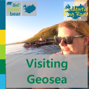 Visiting Geosea | iamapolarbear.com