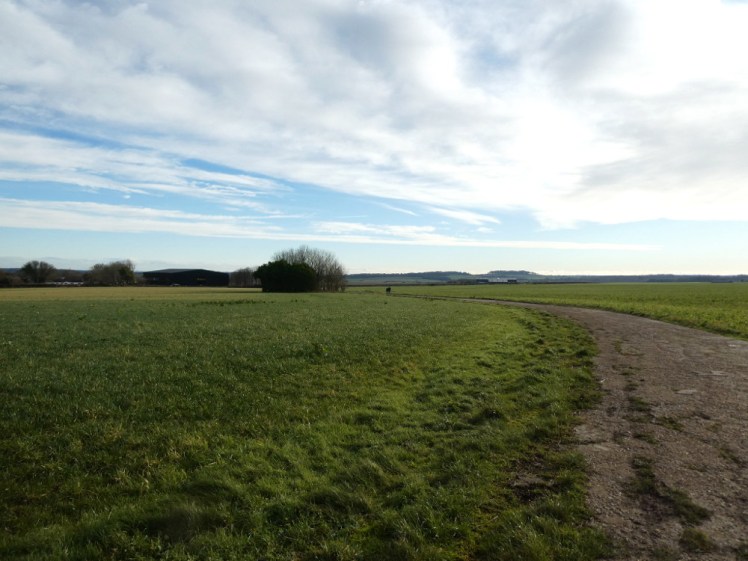 Farm land at Tarrant Rushton