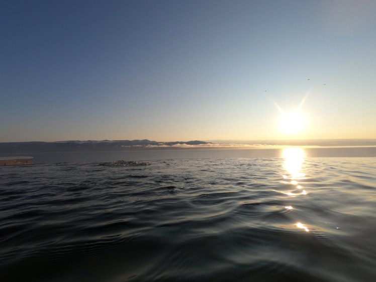 The infinity edge of the pool blending with the fjord below. The illusion is helped by the very low sun casting a yellow light across the water.