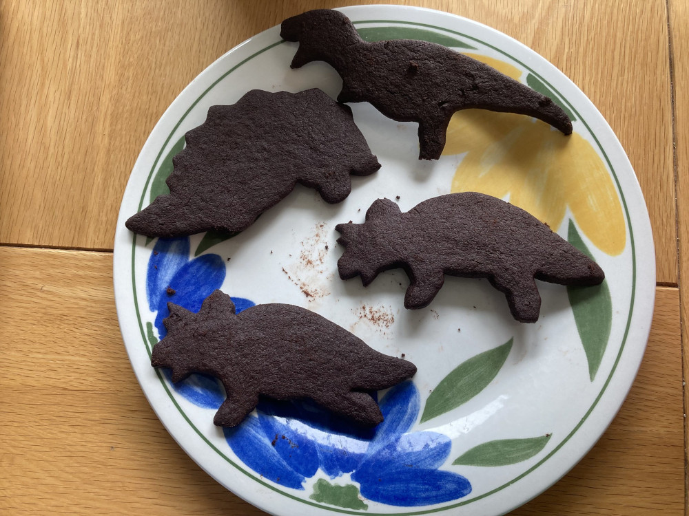 A white plate with blue and yellow flowers on it. On the plate are four dark brown chocolate biscuits in the shape of various dinosaurs and a lot of crumbs.