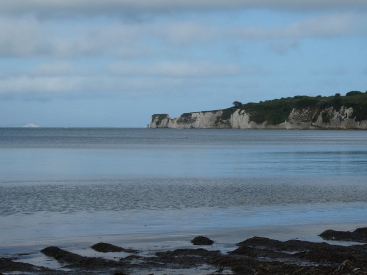 Studland at high tide, the sea beautiful and blue and smooth with the white chalk cliffs of Old Harry Rocks in the background.