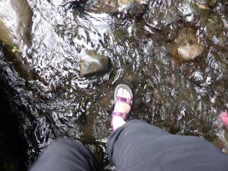 Paddling in the stream at Rauðfeldsgjá