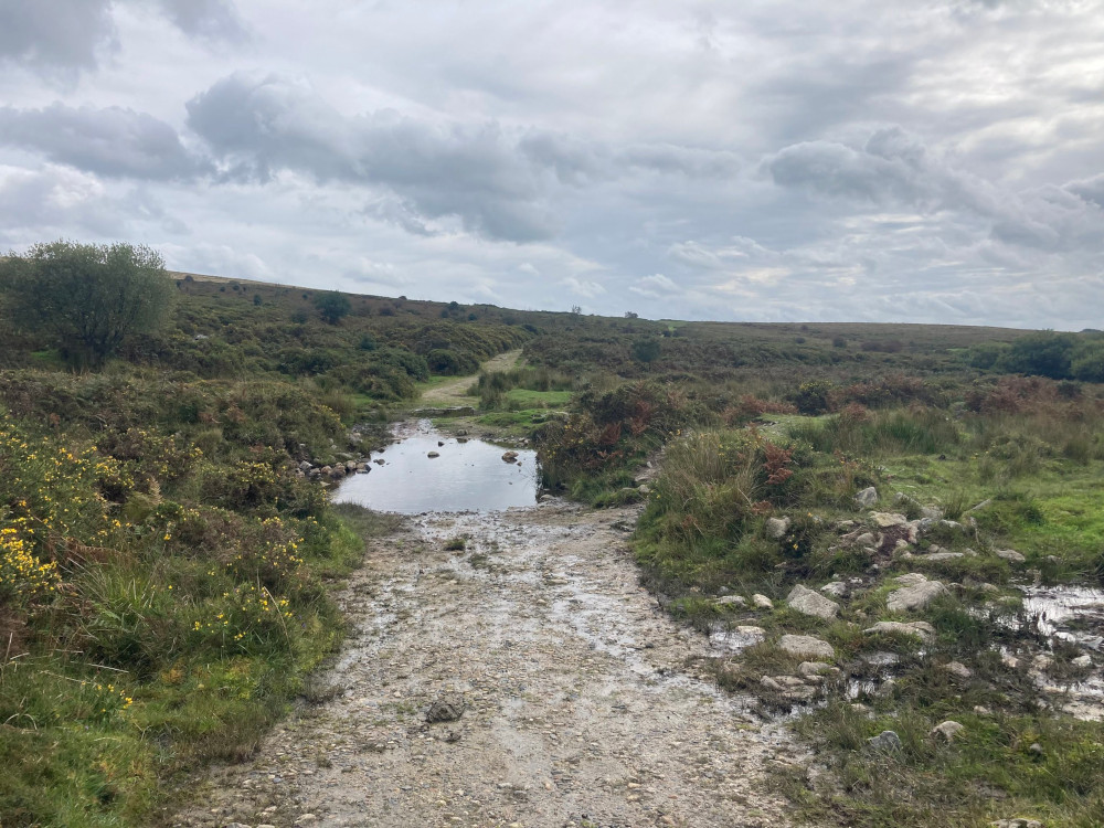 The path back up to the car park. It crosses a stream which has flooded to make a large but fairly shallow puddle. To the right there is mud and bog where everyone has left the path to get to the stepping stones.