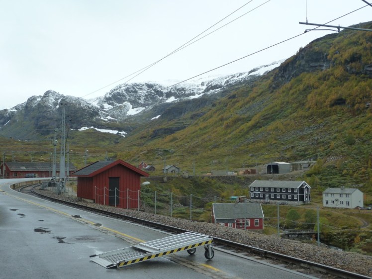 Cottages opposite Myrdal station