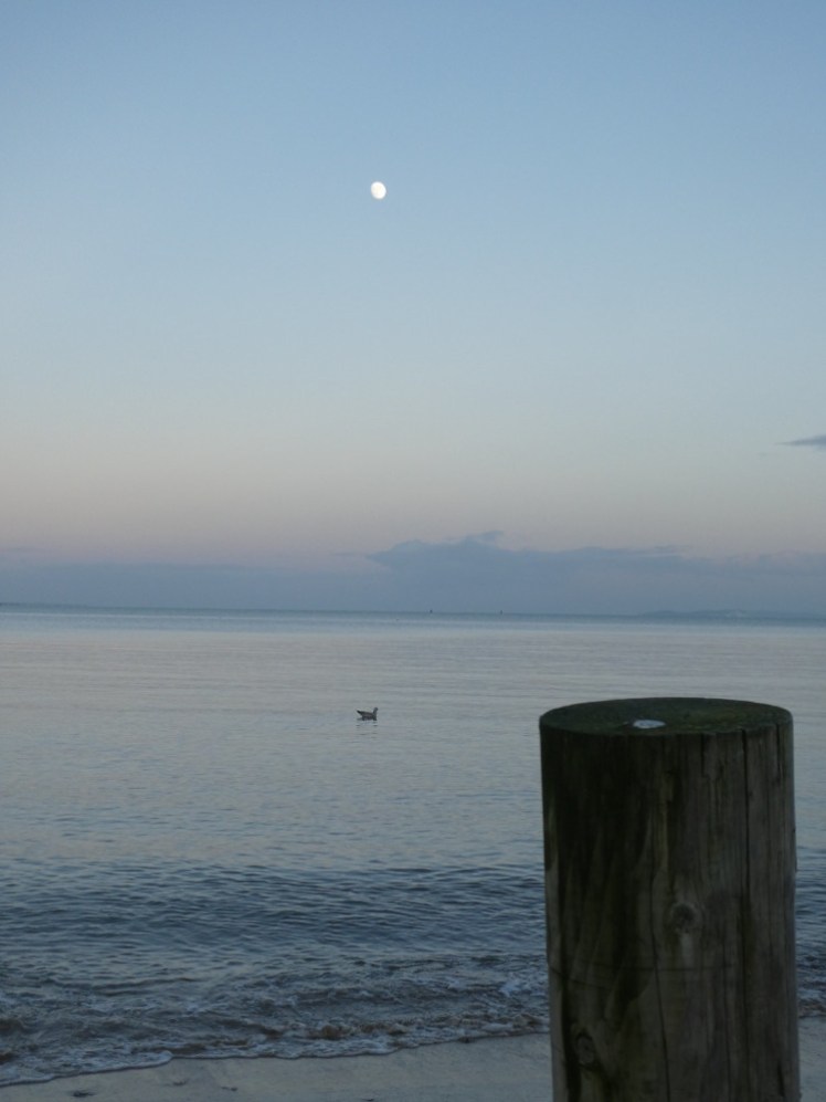 The view across Studland Bay as dusk