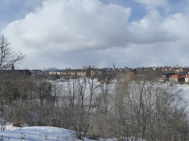 Stockholm from Skansen