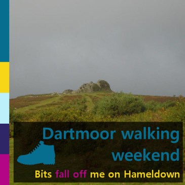 Dartmoor walking weekend: Bits fall off me on Hameldown | iamapolarbear.com