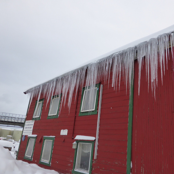 33338136176_4f4c9e4388_k