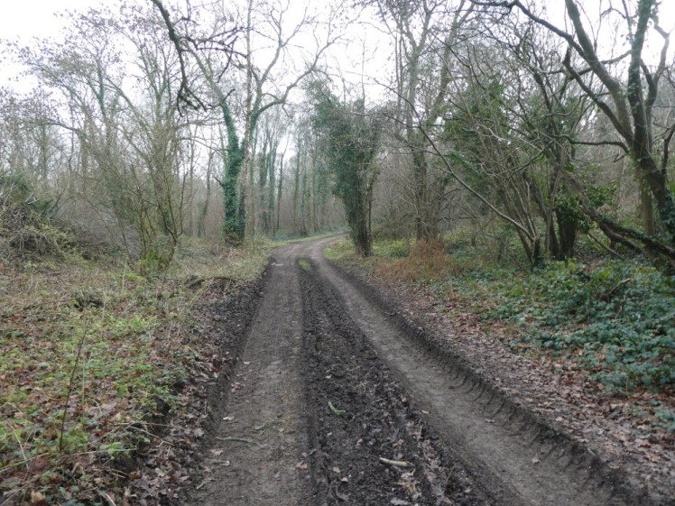 A track that I'm not entirely sure whether we're allowed to walk on