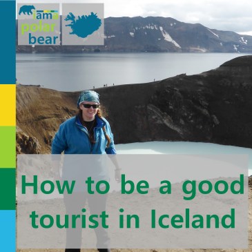 How to be a good tourist in Iceland | iamapolarbear.com