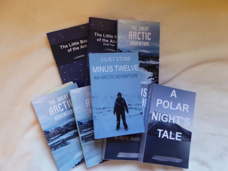 7 drafts of Minus Twelve by Juliet Stone