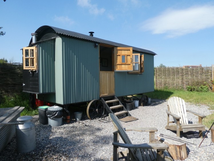 The Pleasant Pheasant