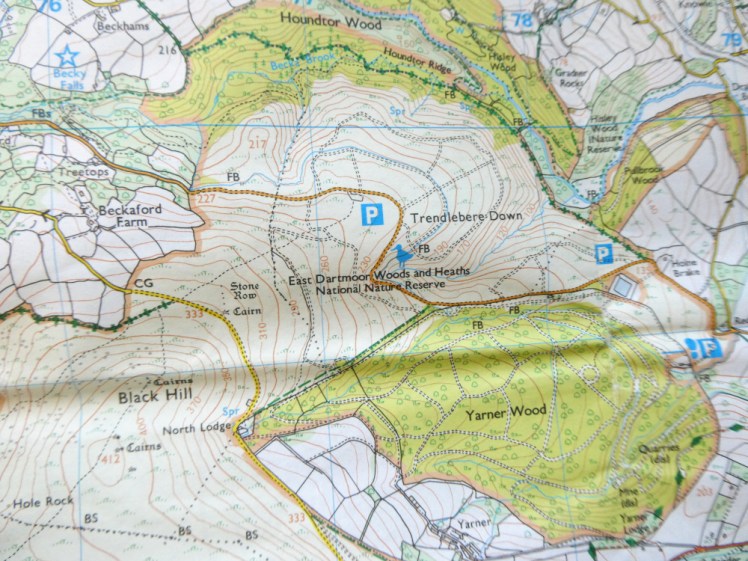 Various roads and blue symbols dotted over the map of Trendlebere Down.