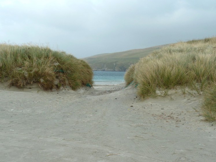 Turquoise sea just visible between the scrub
