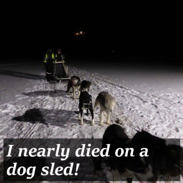 Dogsledding title pic