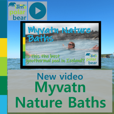 New video: Myvatn Nature Baths - is this the best geothermal pool in Iceland? | iamapolarbear.com