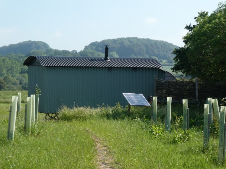 The main solar panel behind the Pleasant Pheasant