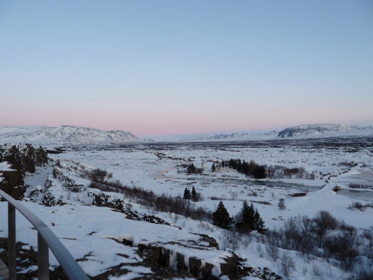 Thingvellir as the sun sets. The rift valley is all snow, broken up by small pine trees. The sky is pink along the horizon and fades to pale blue higher up.