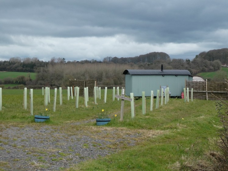 Shepherd's hut spotted in March