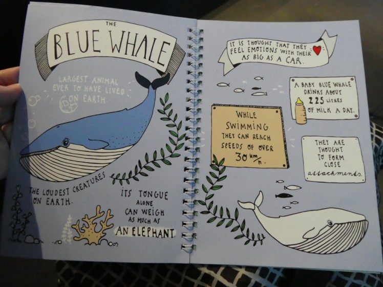 A couple of pages from The Book of Whales, showing cartoon-style blue whale and information in comic book-style boxes about it.