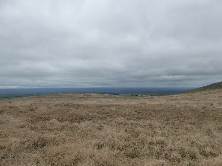 View from halfway up Yes Tor
