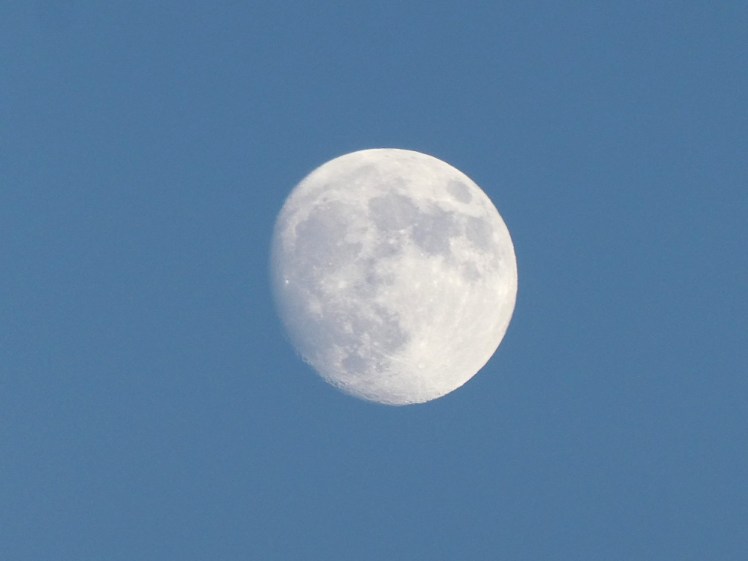 Close-up of the nearly-full moon