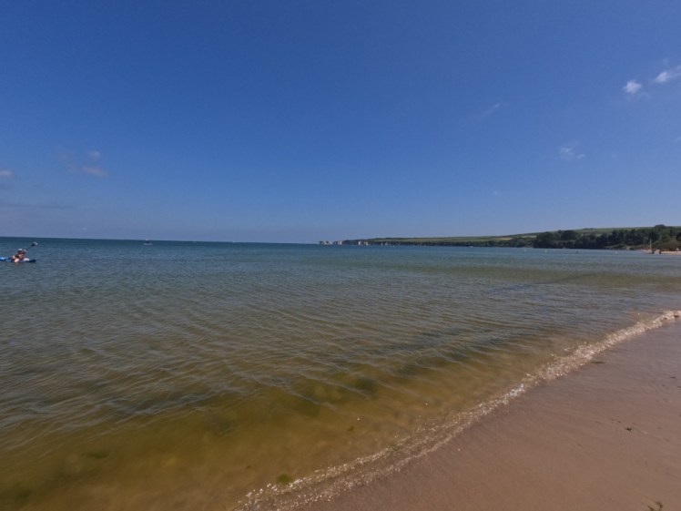 Studland Bay, its waters brown where it's shallow enough to see the sandy bottom but vivid blue further out. To the right of the photo, away in the distance, are the cliffs between South Beach and Old Harry Rocks.