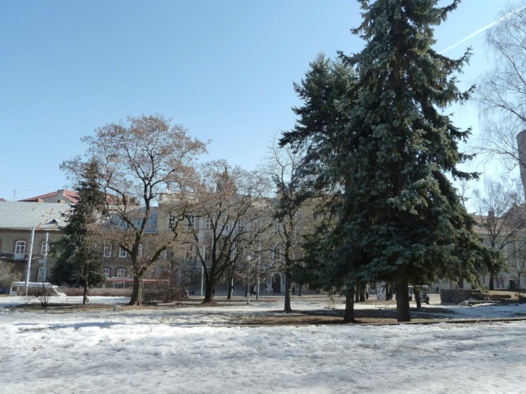A snow-covered park with a few trees in it. Behind the trees, you can see the fairly good-looking townhouses of Vilnius.