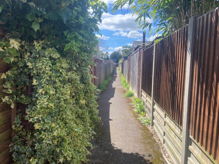 A narrow alleyway between fences with a lot of plant life growing on the fence to the left immediately in front of me.