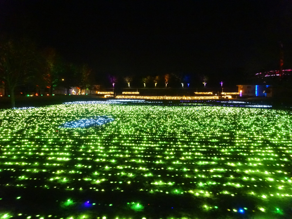 A field of lights. These change colour constantly but right now they're mostly spring green with the occasional blue light among them. Behind them you can see the yellow-white hedge that surrounded Miracles Happen which is currently dormant.