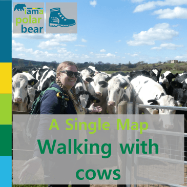 A Single Map: walking with cows | iamapolarbear.com