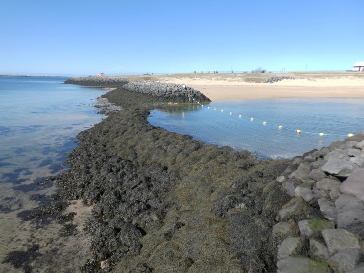A stone sea wall, covered in moss and seaweed. You can see that Nautholsvik is higher than the level of the sea and also guess that at higher tide, the water encroaches on the beach.