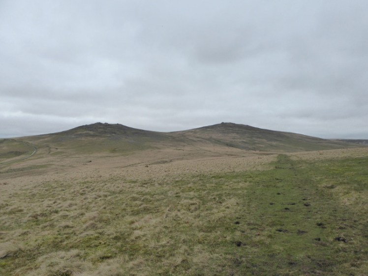 Yes Tor from Black Down