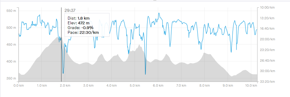 A GPS track showing elevation as a series of grey humps with my speed as a wiggly blue line over it. The distance marker is positioned over the top of Rippon Tor, showing it's taken me 29:37 to walk 1.8km to a maximum of 472m.