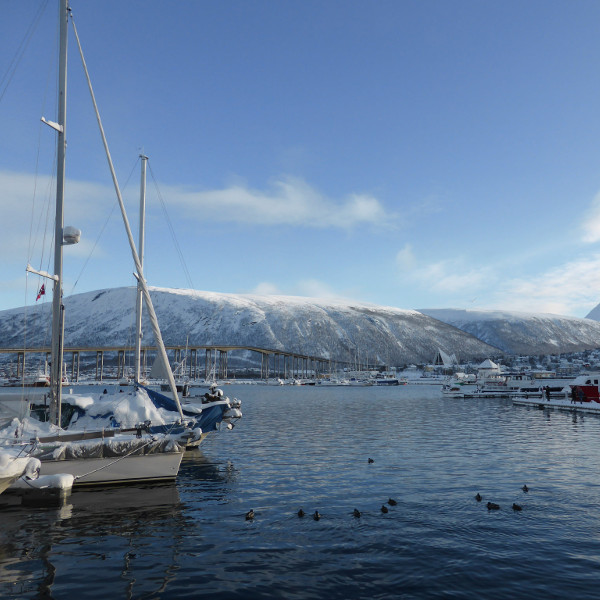 33222764642_83271ff017_k