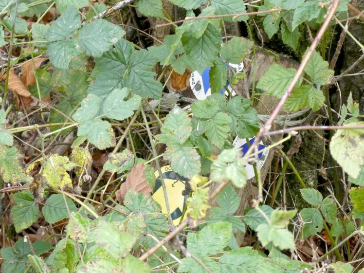 The hidden marker arrows