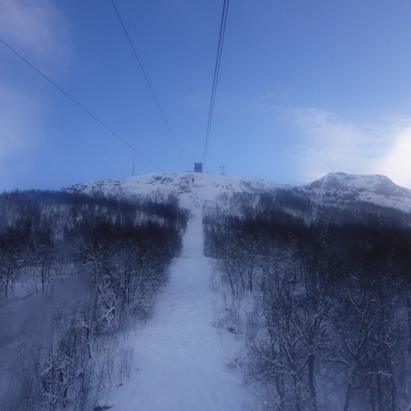 32535334484_0c90c3a776_k