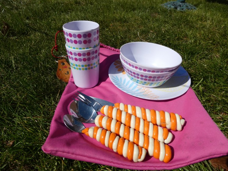 My camping plate bag