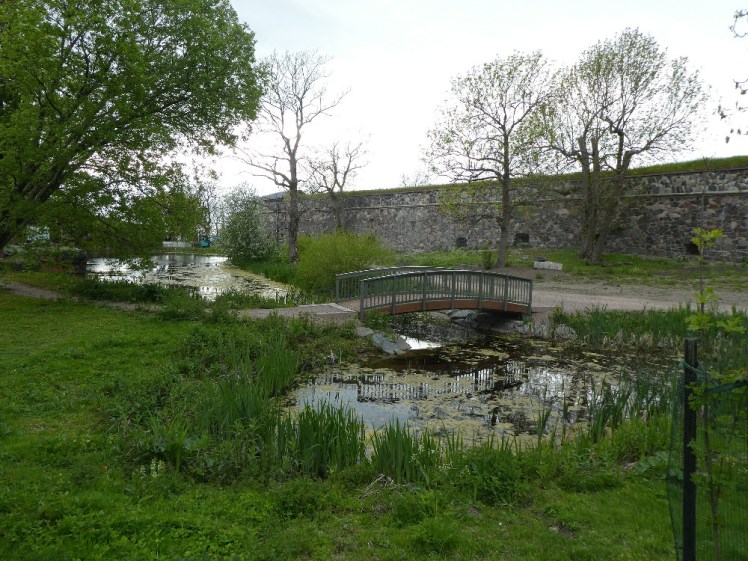 A small bridge over a pond that's apparently blending into the bright green grass around it and making an area of bog. Behind all the greenery is another of those heavy stone fortress walls.