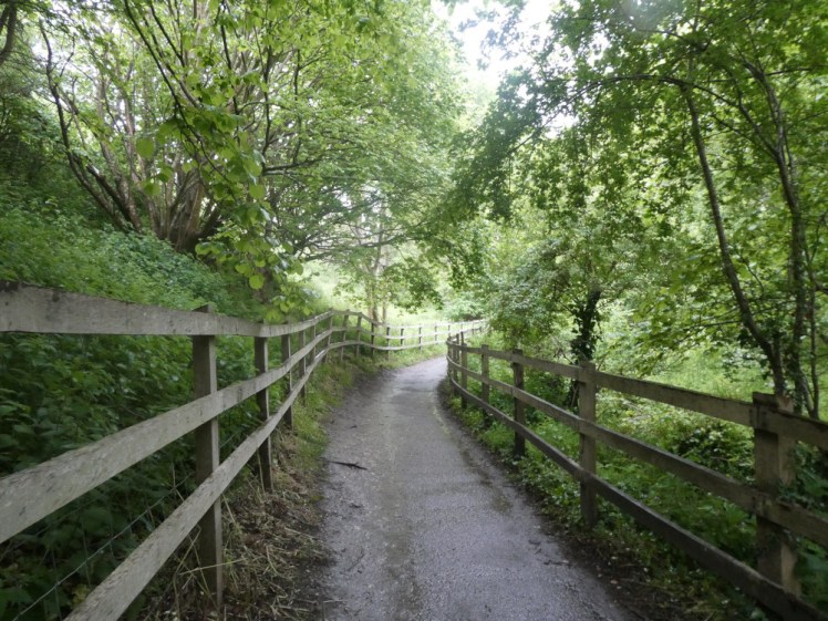The path through the woods around the bottom of the hill on which Corfe Castle sits. This is the only photo I took during my treasure hunt.